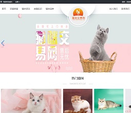 猫咪天地娱乐官网网