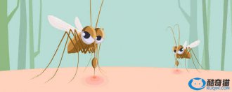 驱蚊千亿国际官方下载有毒吗 电热蚊香液/电热蚊香片的使用原理